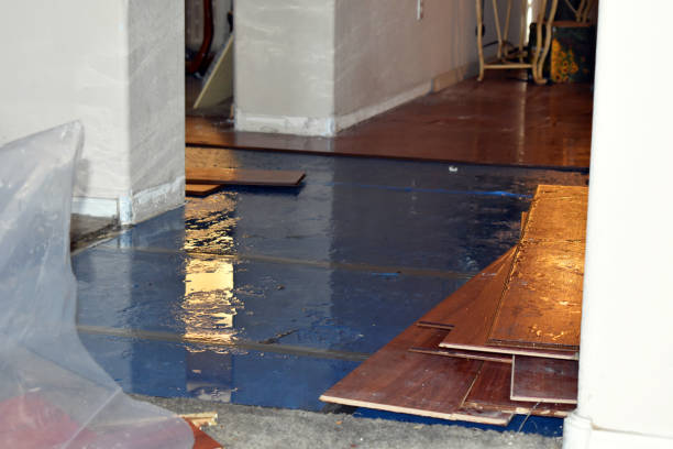 Professional Burst Pipe Water Damage technician working in Summit, WA